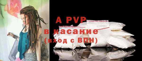 сатива Арсеньев