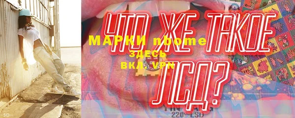сатива Арсеньев