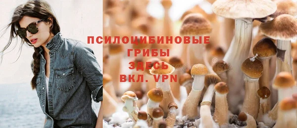 сатива Арсеньев